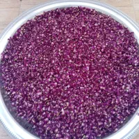 پر گل محمدی تبریزی