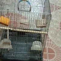 قفس بزرک  ۲ درب ورودی انواع پرندها