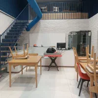 شاطر حرفه ای