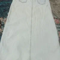 دامن لی