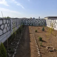 فروش باغچه دیوارکشی شده / نهال کاری زمین باغ