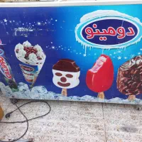 یخچال بستنی دو درب دومینو