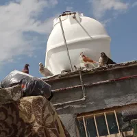 معلقی مسافتی