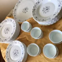 سرویس ارکوپال