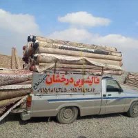 قالیشویی درخشان