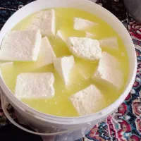پنیر گوسفندی