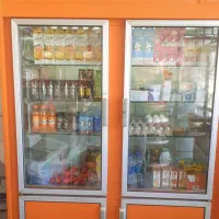 یخچال دودرب سالم