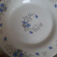 پیش دستی