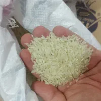 برنج فجر درجه یک