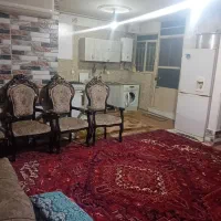 یک عدد فرش‌دستبافت ۱۲ متری شربیان