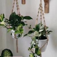 آویز گلدان مکرومه