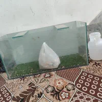آکواریوم نو