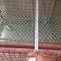 کبوتر و قفس