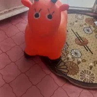 گاو بادی بچگانه