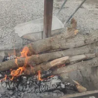 کارگر برای قهوه خانه کاج