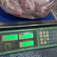 بلدرچین  ترد تازه و جوجه محلی تازه