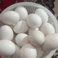 تخم‌مرغ‌گلین