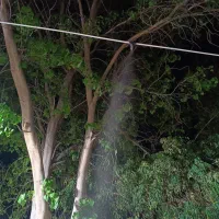 مه پاش   مهپاش