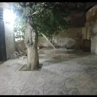ویلایی حیاط دار