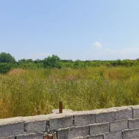 زمین-قرق-250متری-سند-تک-برگ