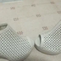 پاشنه بلند مجلسی
