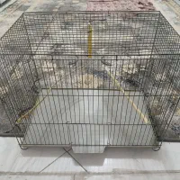 قفس پرنده