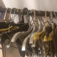 حدود۳۰۰ عدد رگال در چندین تنوع یکجا بفروش میرسد