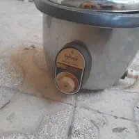 پلوپز برقی