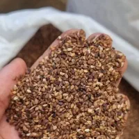 کنجد، قهوه ای شسته شده بهداشتی