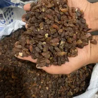 کشمش رضوی