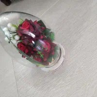 کلکسیون