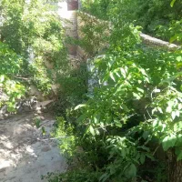 خانه باغ ۳۰۰مترطزرجان