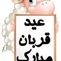 قصاب هستم برای قربانی
