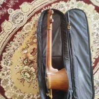 کمانچه معاوضه با کبوتر