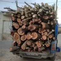 چوب|خدمات باغبانی و درختکاری|الشتر, |دیوار