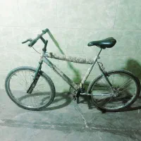 دوچرخه|دوچرخه، اسکیت، اسکوتر|رودشت (چهارمحال و بختیاری), |دیوار