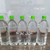 عرق پونه سنتی چربی سوز قوی شکم وپهلو