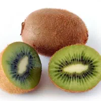 فروش کیوی24تن