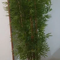 درختچه ی  مصنوعی بامبو