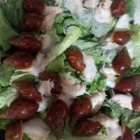 با حلزونها میتونی جوانتر و  موفق بشی