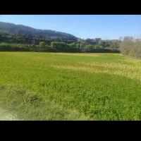 زمین فروشی