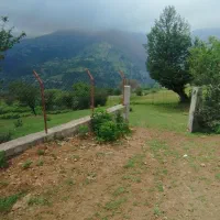 زمین سند دار و تفکیک شده در ییلاقات ریک