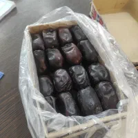 پخش عمده خرما