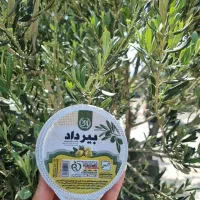 جزب بازاریاب /ویزیتور مواد غذایی رستورانی