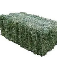 فروش پرس یونجه خشک