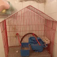 قفس بزرگ