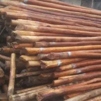 چوب|خدمات باغبانی و درختکاری|خرمآباد, |دیوار