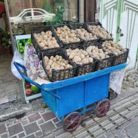 گاری چهارچرخ