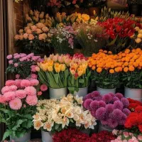 کارآموزی گلفروشی