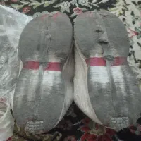 گیوه اصل پاوه